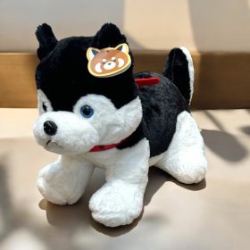 Husky Kutya plüss 30 CM,  40 CM,  50CM