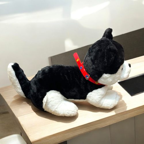 Husky Kutya plüss 30 CM,  40 CM,  50CM