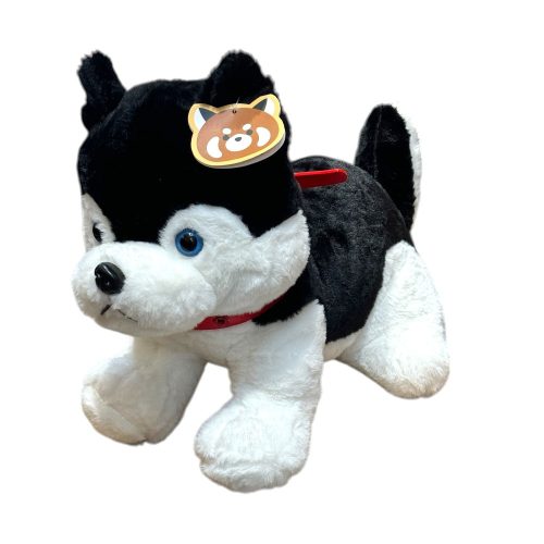 Husky Kutya plüss 30 CM,  40 CM,  50CM
